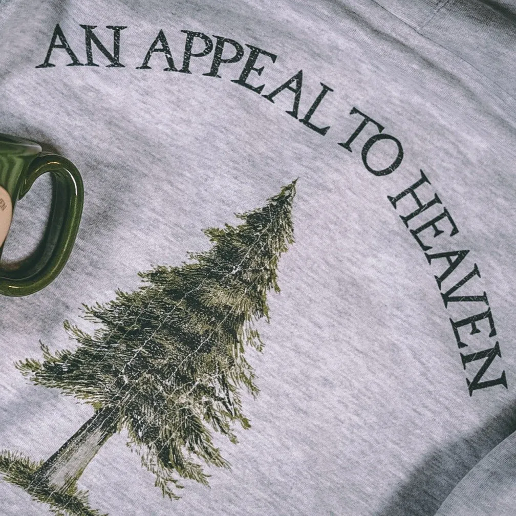 Appeal To Heaven Hoodie